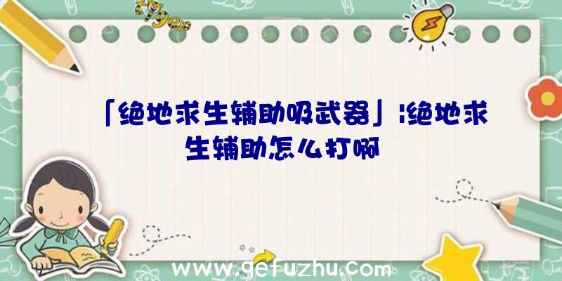 「绝地求生辅助吸武器」|绝地求生辅助怎么打啊